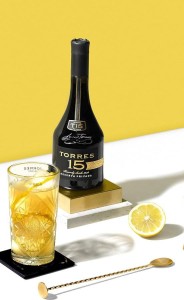 BRANDY TORRES RESERVA PRIVADA 15YO 0,7L 40%