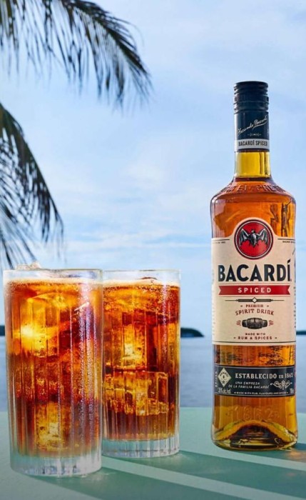 RUM BACARDI SPICED 0,7L 35%