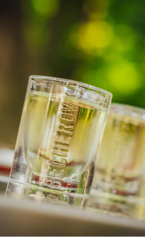 WÓDKA BECHEROVKA 0,7L 38%