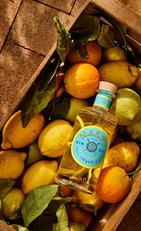 GIN MALFY CON LIMONE 0,7L 41%