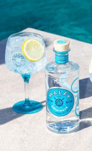GIN MALFY ORGINAL 0,7L 41%