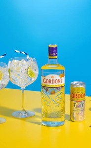 GIN GORDONS 0,7L 37,5%