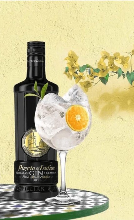 GIN PUERTO DE INDIAS BLACK 0,7L
