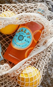 GIN MALFY ARANCIA 0,7L 41%
