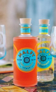 GIN MALFY ARANCIA 0,7L 41%