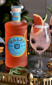 GIN MALFY ARANCIA 0,7L 41%