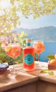 GIN MALFY ARANCIA 0,7L 41%